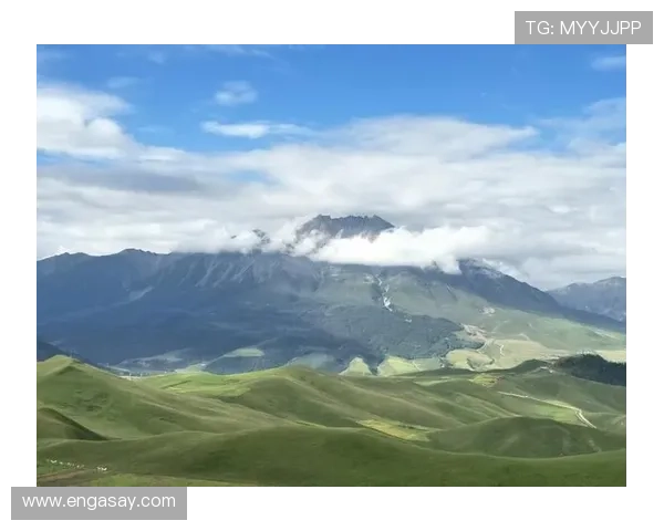 NBA比赛直播信号解析与应用技术研究探索 - 副本 (2) - 副本 NBA比赛直播信号解析与应用技术研究探索 - 副本 (2) - 副本